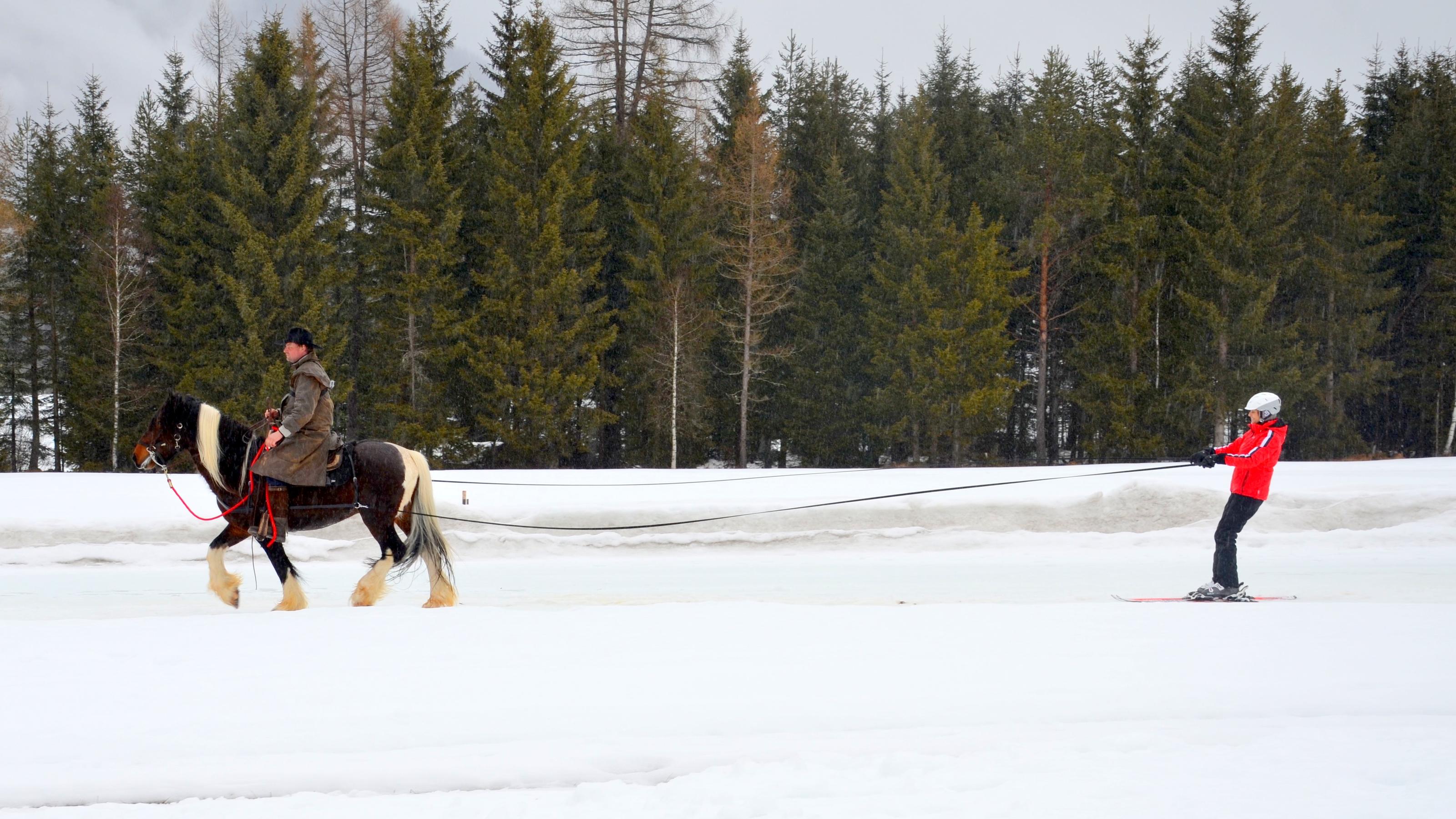 Hundkatzemaus Mit Dem Pferd Durch Eis Und Schnee