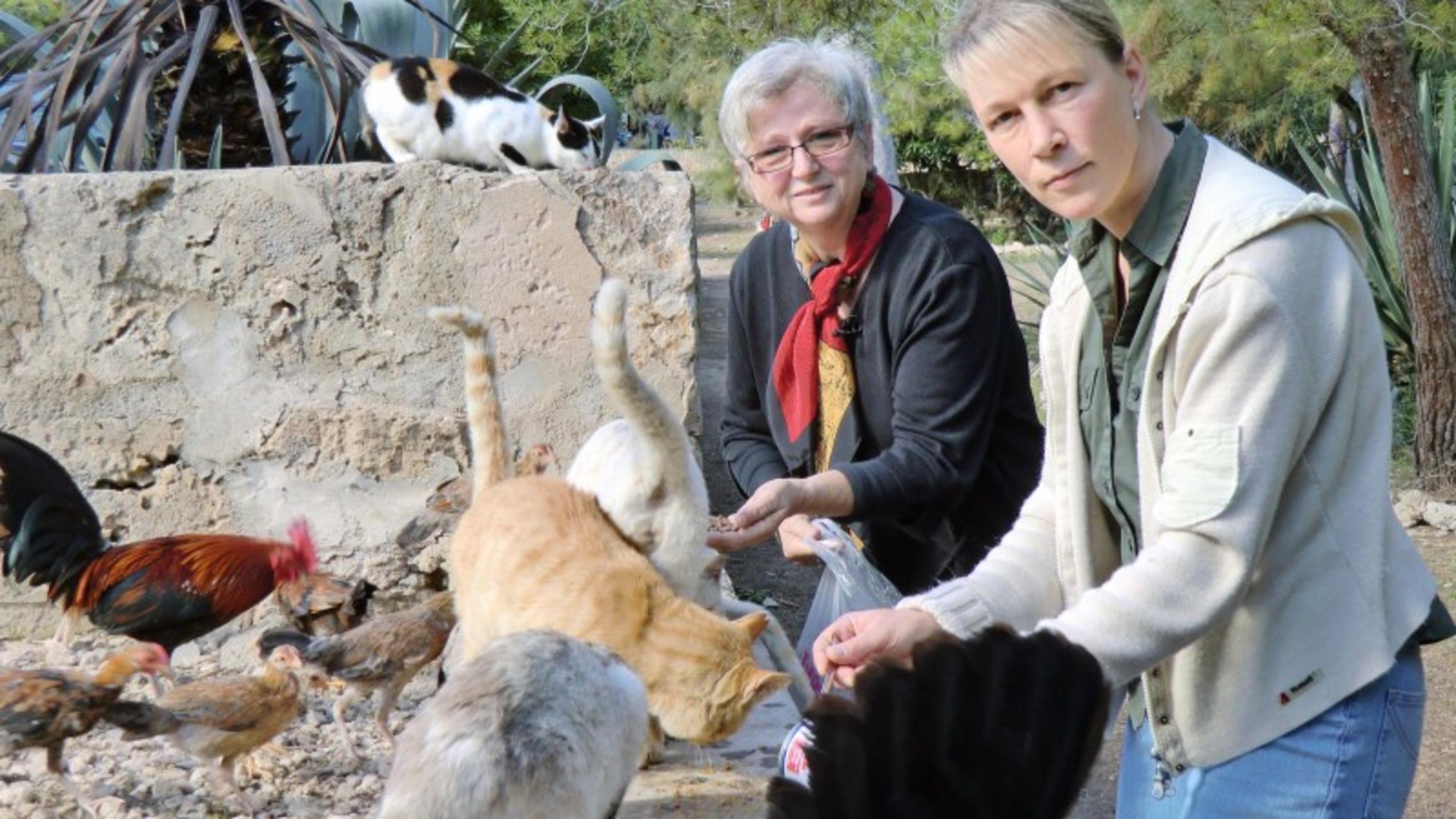 Tierschützerin Susanne Hoppe (l.) betreut an der Touristenhochburg S"Arenal eine Gruppe herrenloser Katzen. Ihre Freundin Claudia Wilke unterstützt sie bei der Fütterung. Foto: VOX/DOCMA TV/Dr. Gerald Krakauer