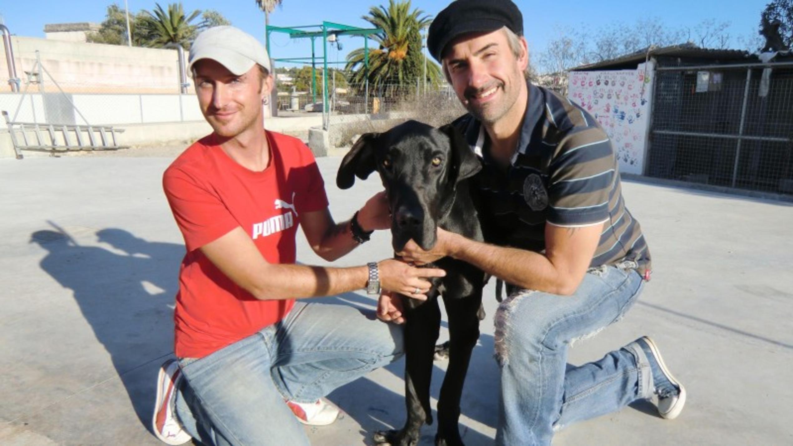 René Marichal-Navarro (35, l.) und Stefan Track (39) leiten für den Verein First Aid Animales Mallorca das Tierheim in Felantix.