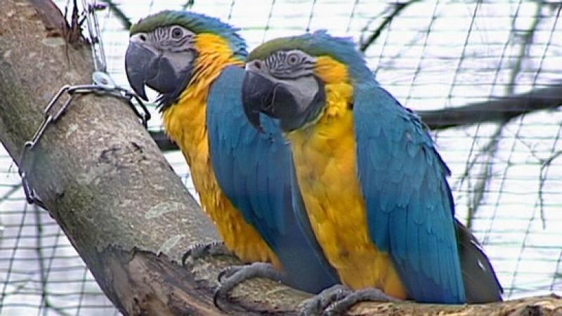 Tierklinik Gessertshausen