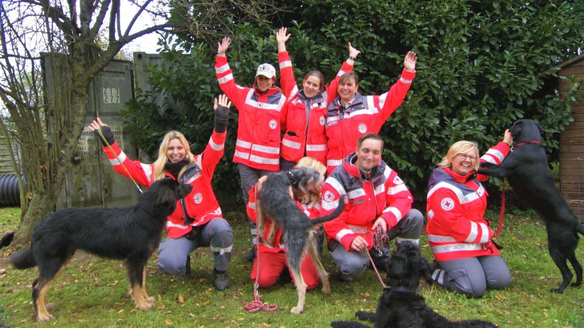 Hundkatzemaus Der Alles Entscheidende Tag Für Den