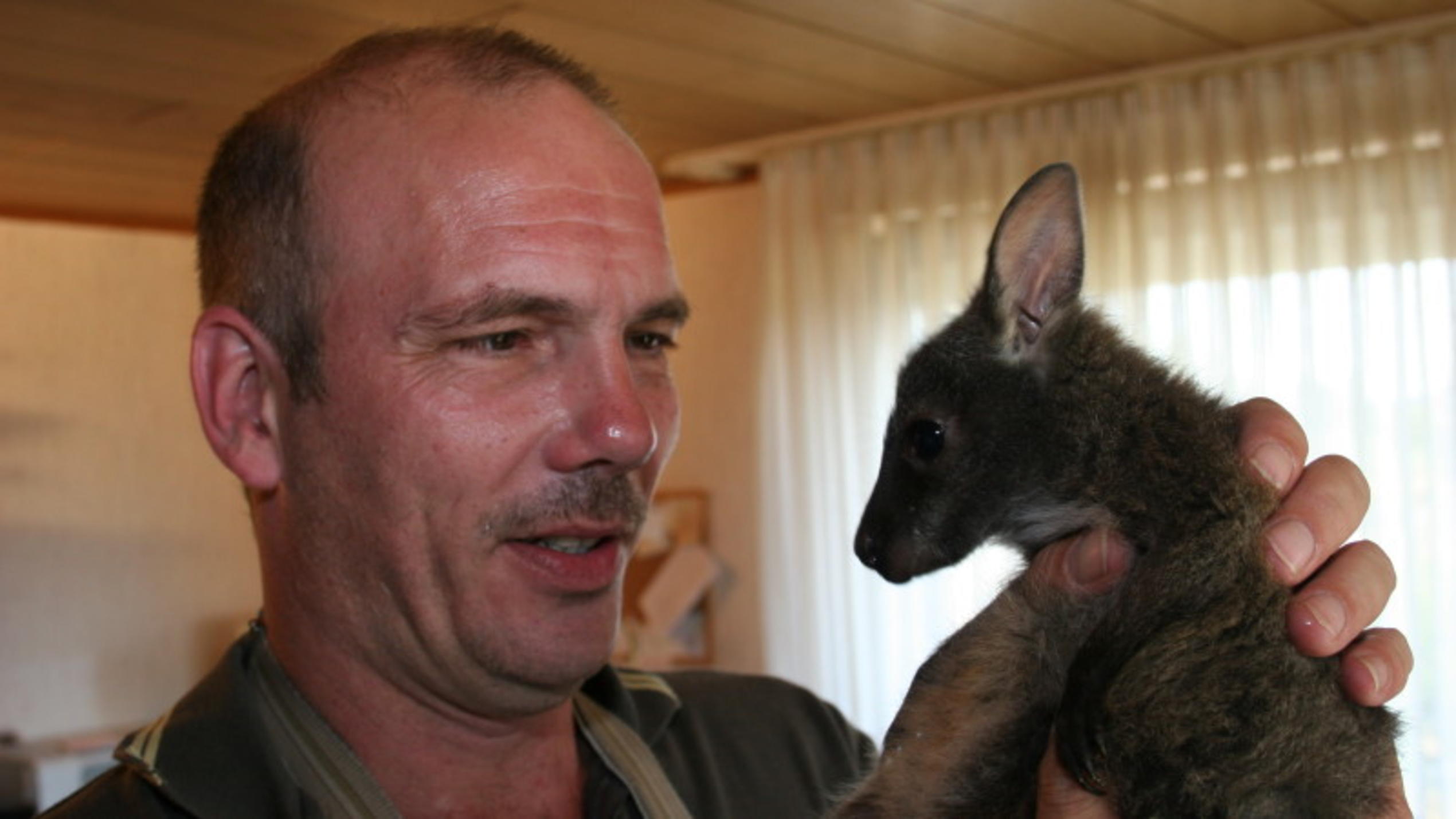 Wildes Wohnzimmer: Markus Betts und Känguru-Baby Loona