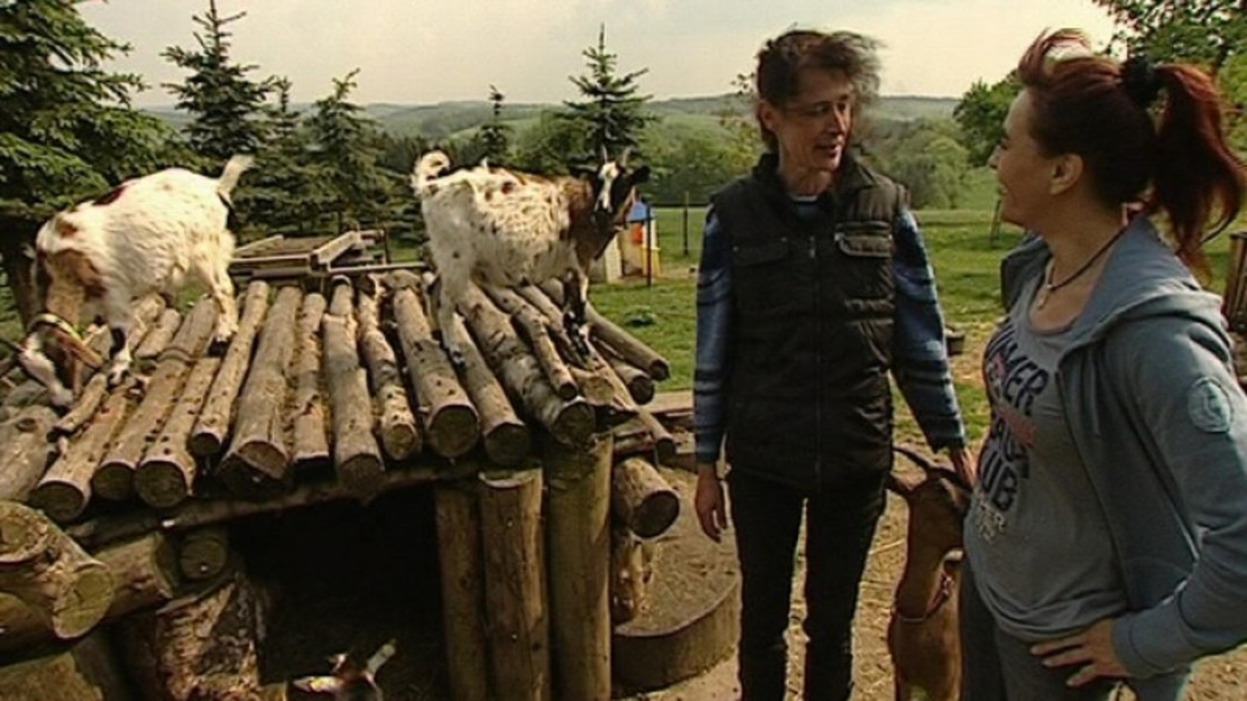 hundkatzemaus-Reporterin Diana Eichhorn besucht Familie Ochsenhirt und ihre Zwergziegen