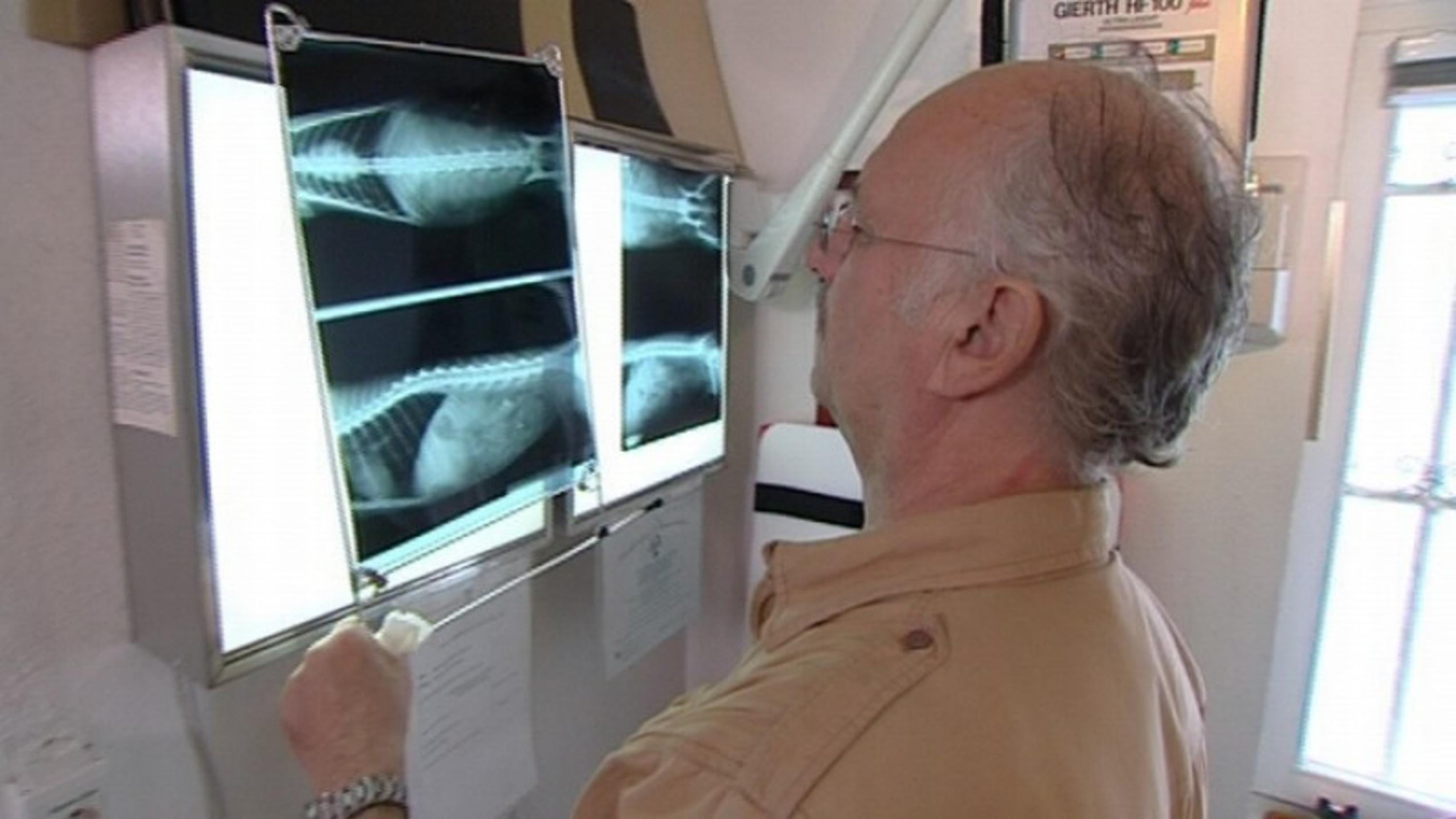 Dr. Wolf betrachtet Röntgenbild