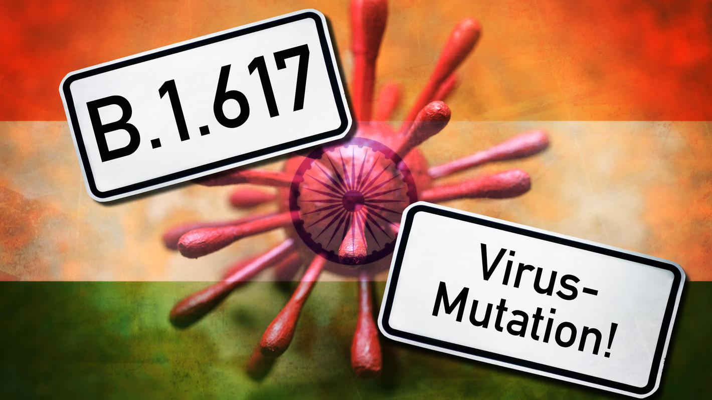 Moderna Oder Biontech Wirksamkeit Mutation Moderna Oder Biontech Wirksamkeit Mutation