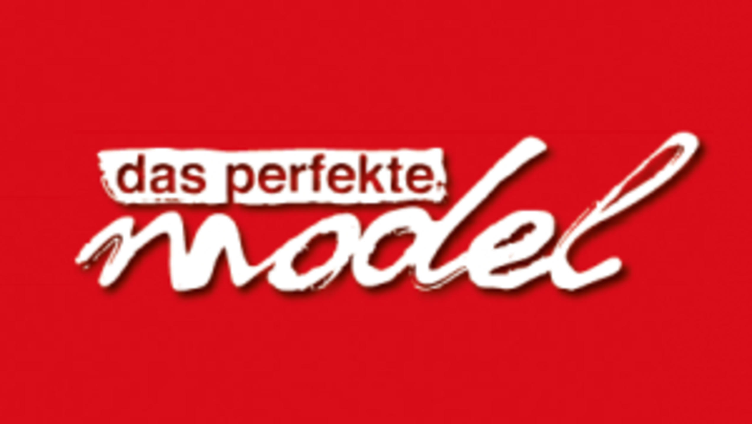 Das perfekte Model 2012 - unsere Partner