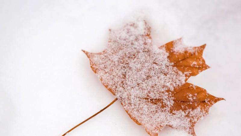 42-Tage-Wettertrend: November-Trend zeigt Frost und Bodenfrost - wann