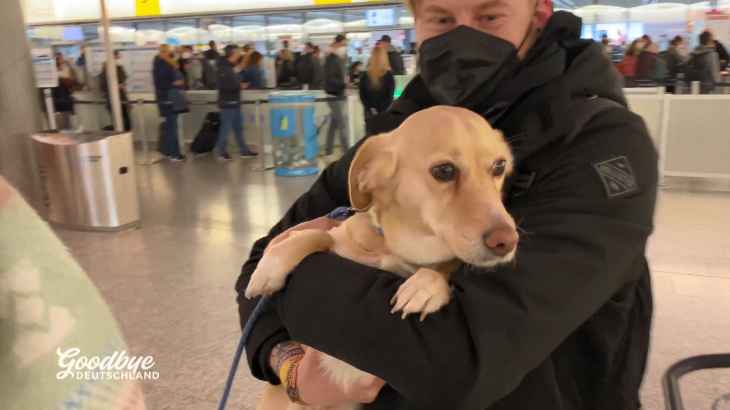 Goodbye Deutschland: Schock am Flughafen – Hündin Emma muss zurückbleiben