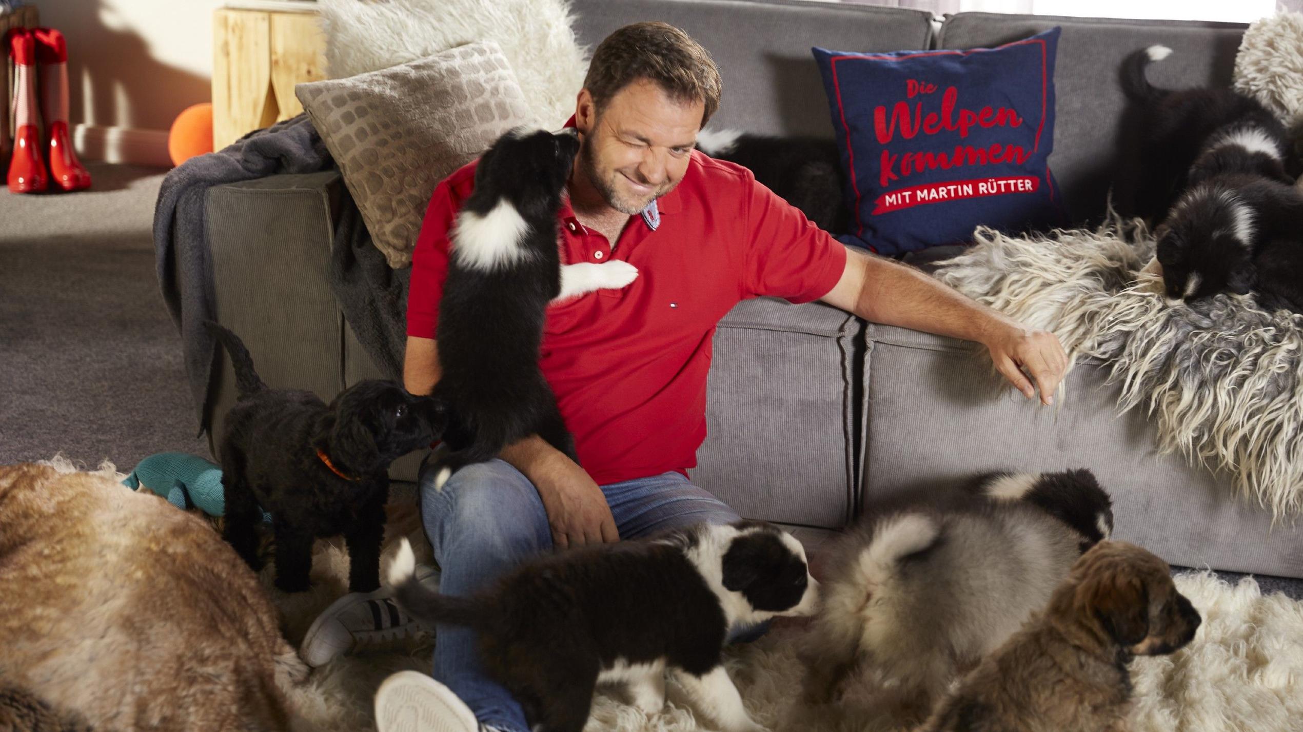 An Weihnachten gehören Hunde für Martin Rütter zum Fest dazu - inklusive Geschenk für die Vierbeiner.
