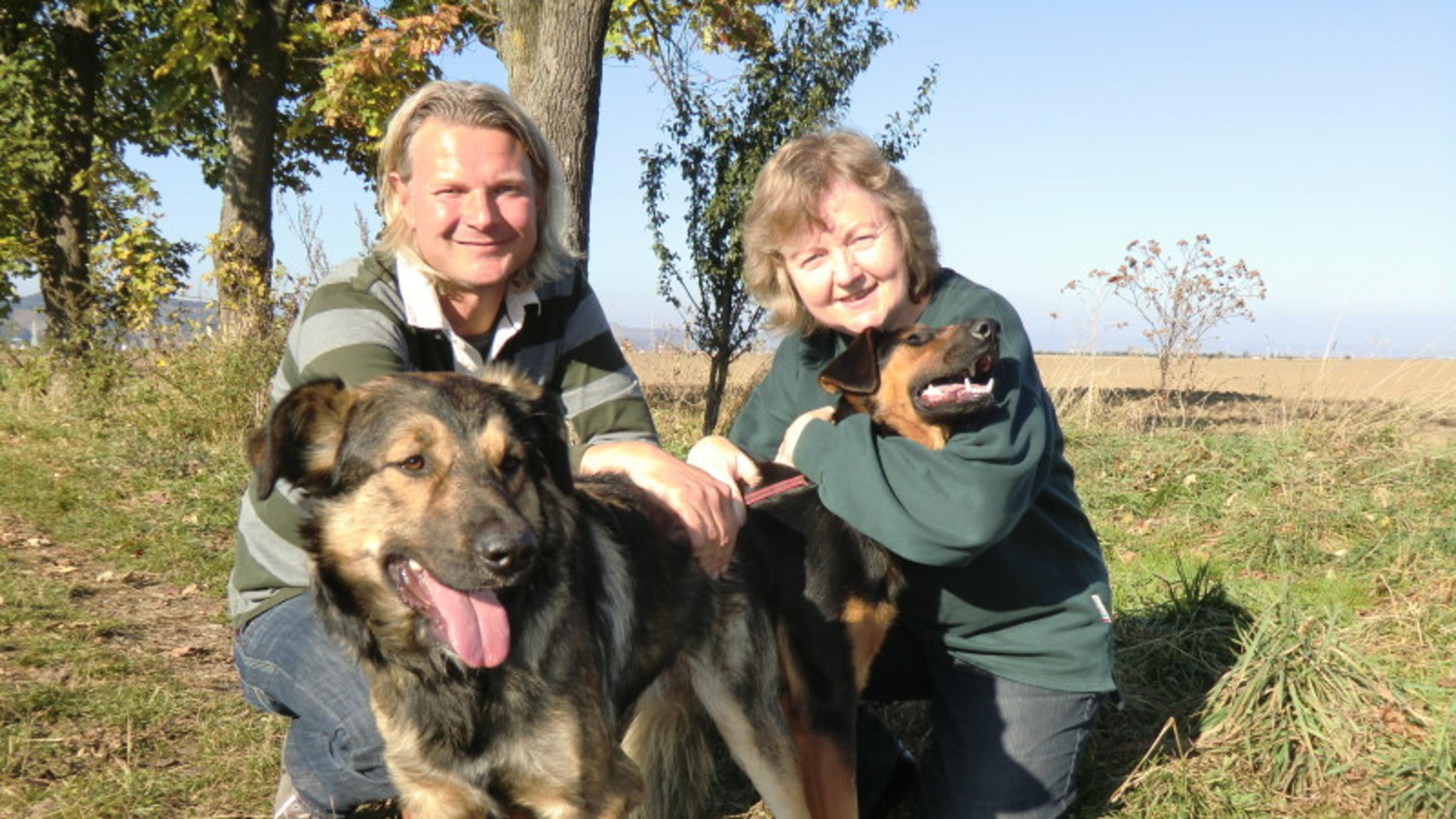 hundkatzemaus-Tierschutzexperte Frank Weber informiert über die Situation der rumänischen Straßenhunde.