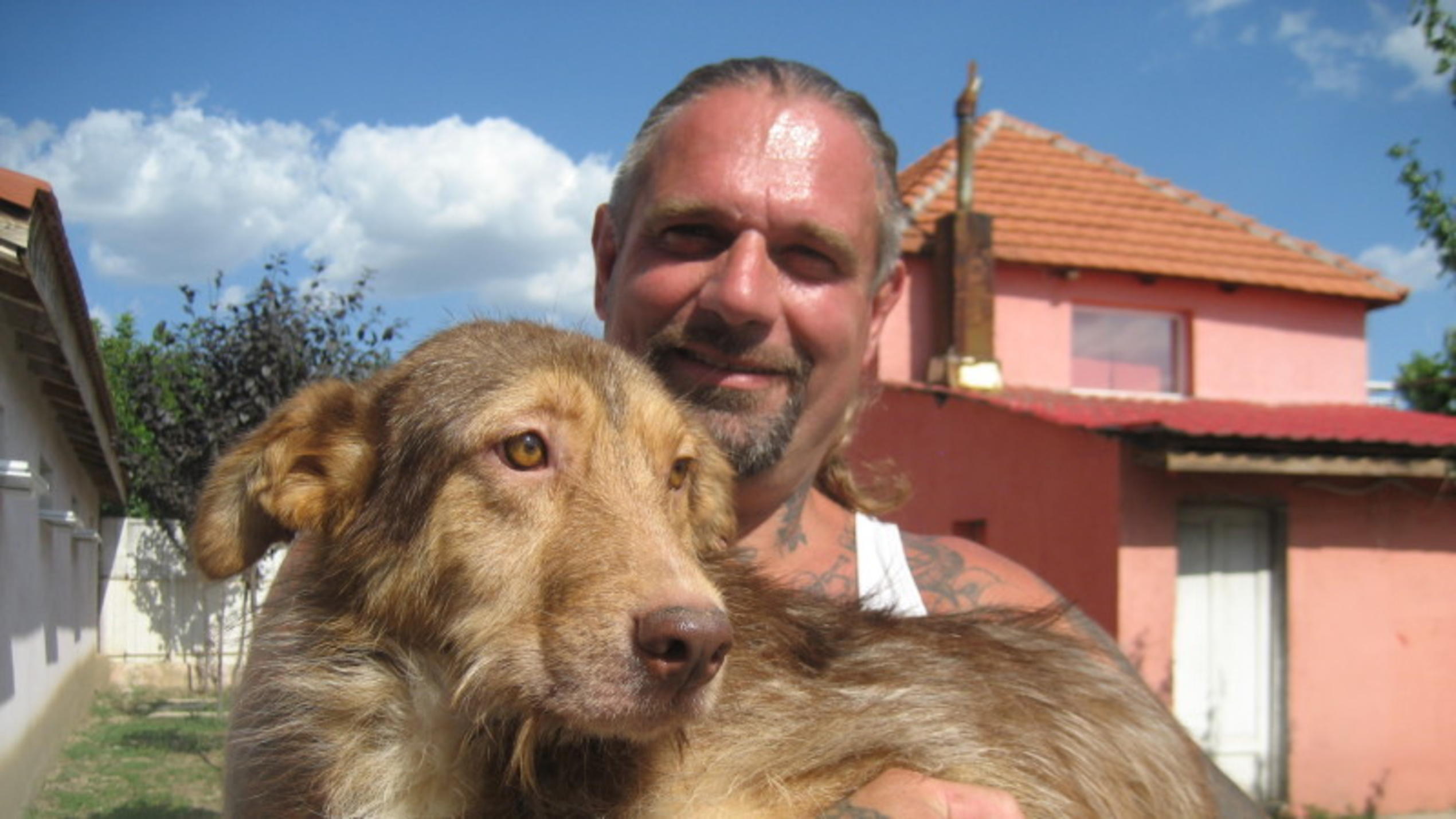 Die Tierschützer engagieren sich in Rumänien für Straßenhunde.