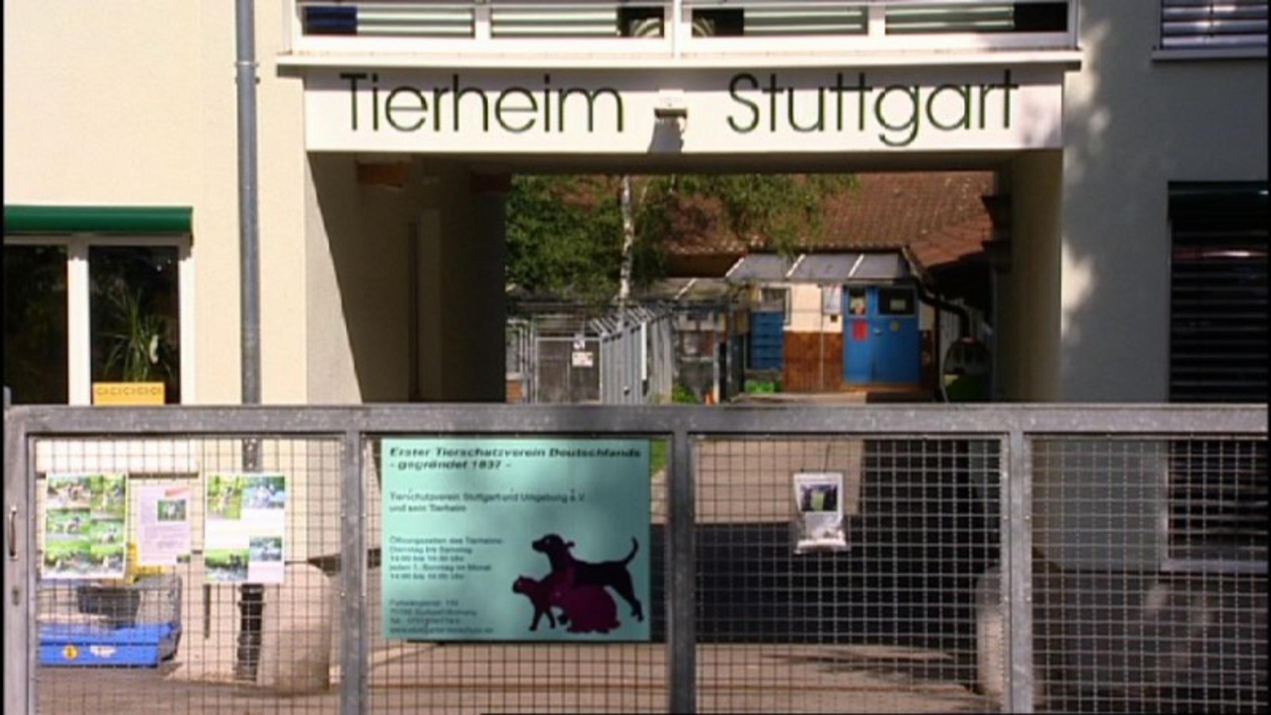Tierheim Stuttgart