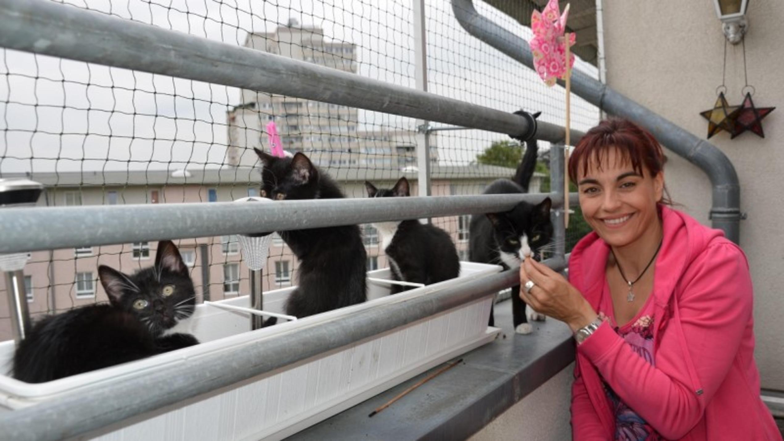 hundkatzemaus Diana Eichhorn macht den Balkon katzensicher