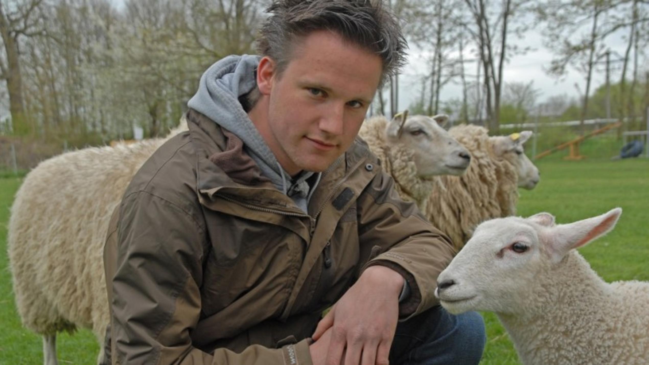 hundkatzemaus Florian Symanzig will Hütehund Lou und die Schafherde zusammenbringen