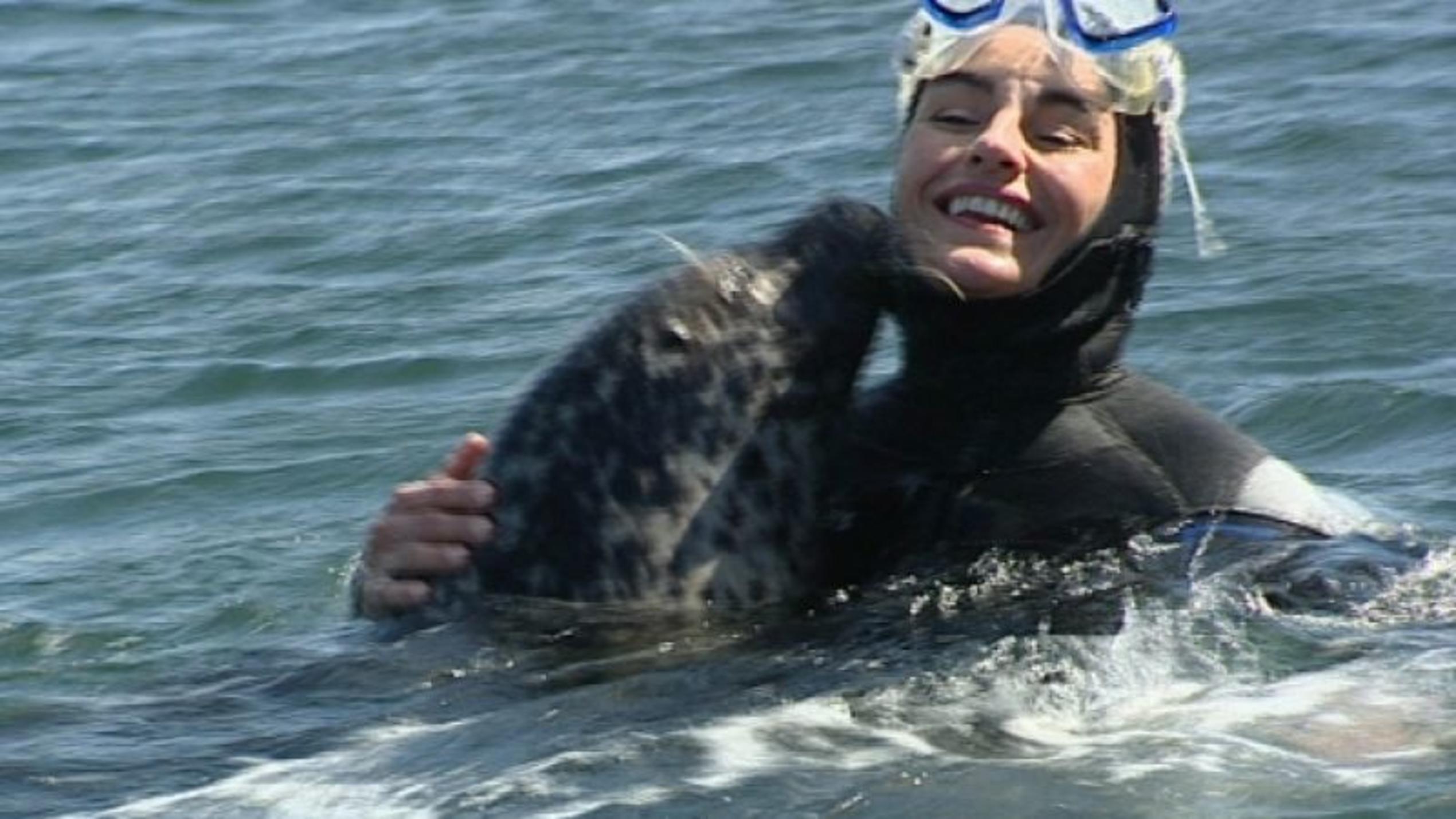 hundkatzemaus-Reporterin Diana Eichhorn taucht mit Seehunden. Foto: VOX/VP