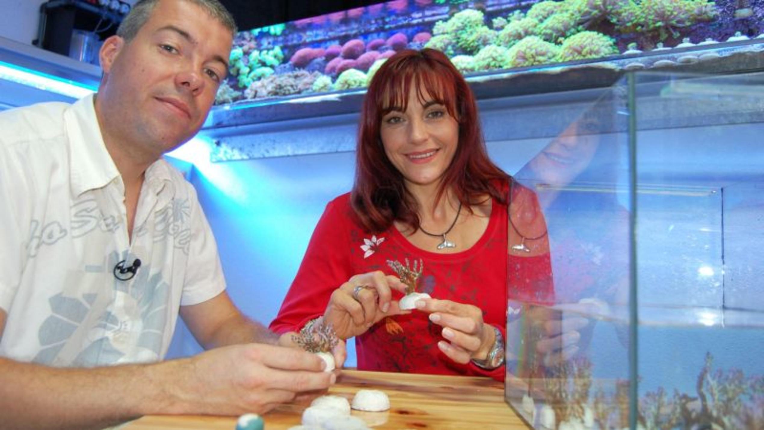 Jürgen Wendel und Moderatorin Diana Eichhorn pflanzen Korallensetzlinge in ein Wasseraquarium ein. Foto: VOX/DOCMA/Dr. Gerald Krakauer