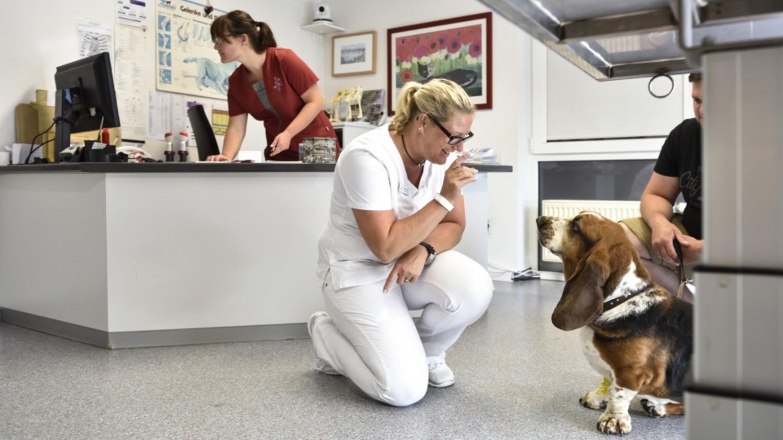 Neue Doku "Hautnah: Die Tierklinik" bei VOX