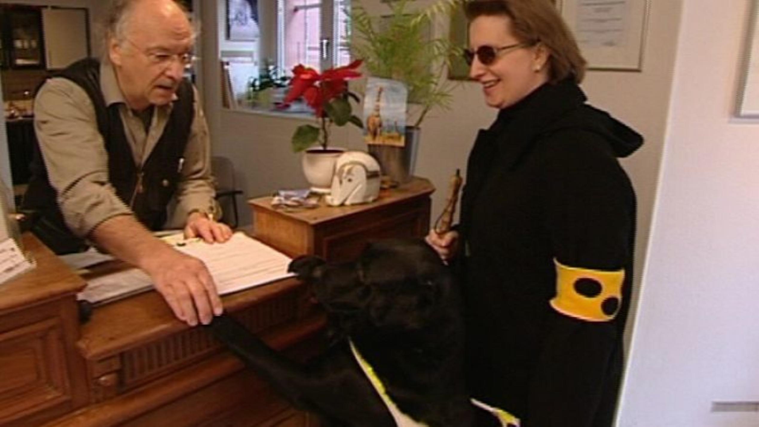 hundkatzemaus-Tierarzt Dr. Wolf untersucht einen Blindenführhund. Foto: VOX/VP