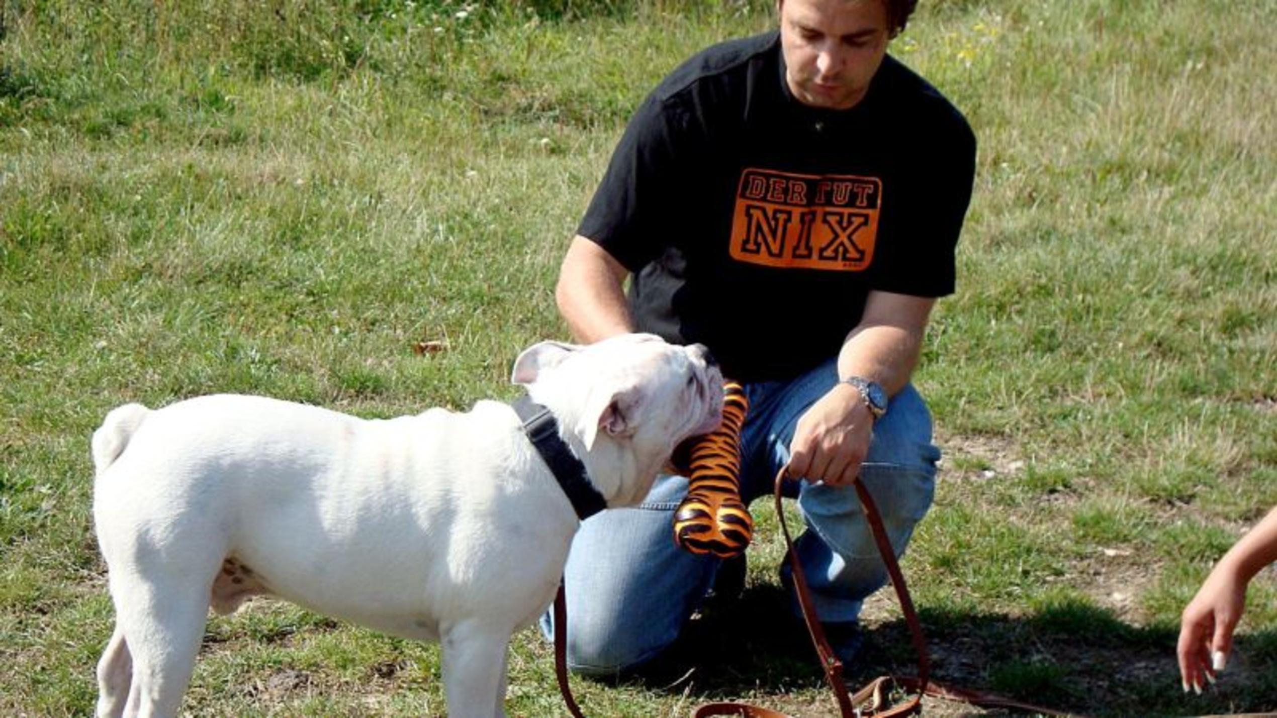 Hundeprofi Martin Rütter trainiert mit Bulldogge Kurt. Foto: VOX/Mina-Trading