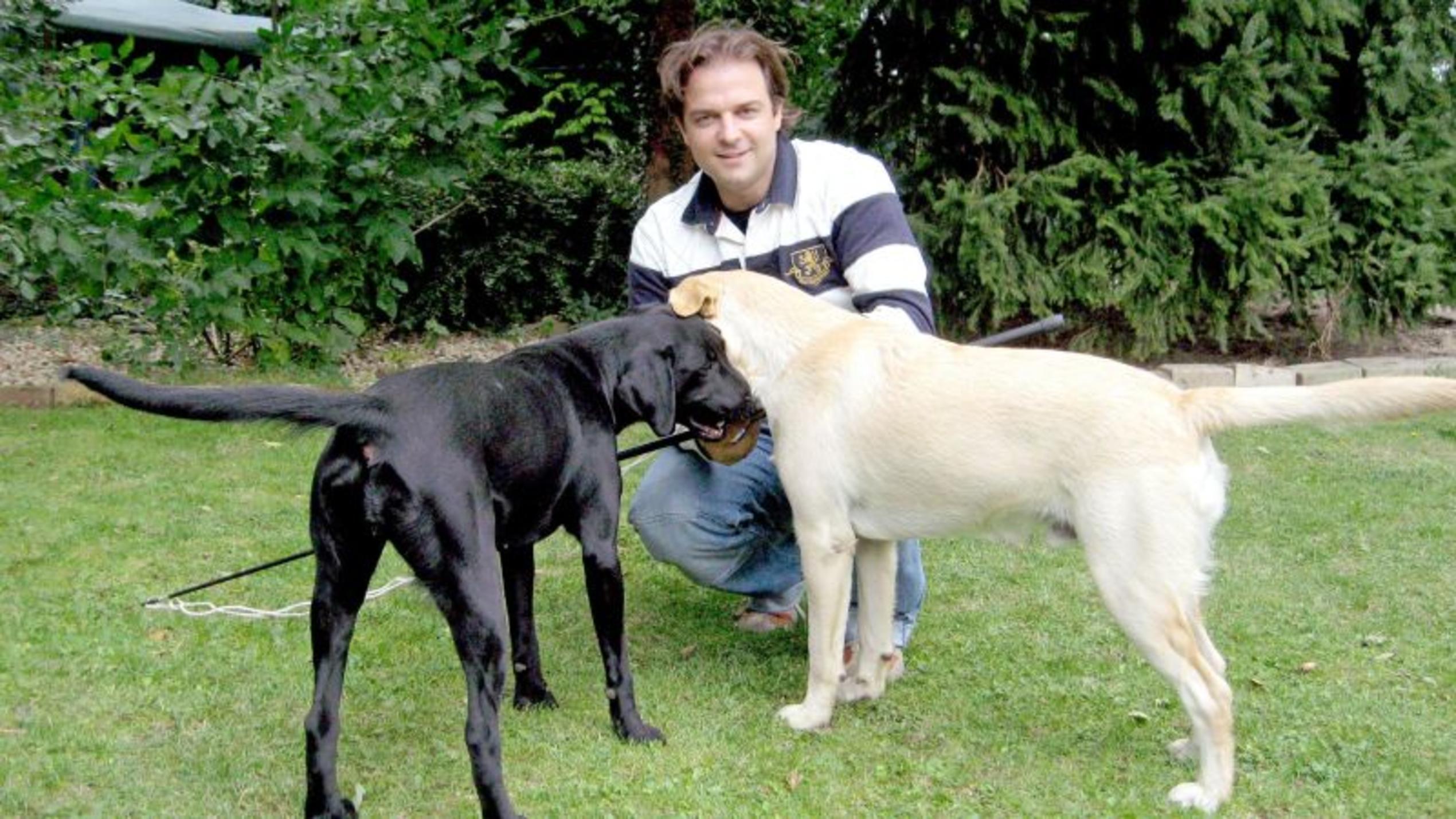 Hundeprofi Martin Rütter mit den Labrador Retrievern Thyson und Merle. Foto: VOX/Mina-Trading