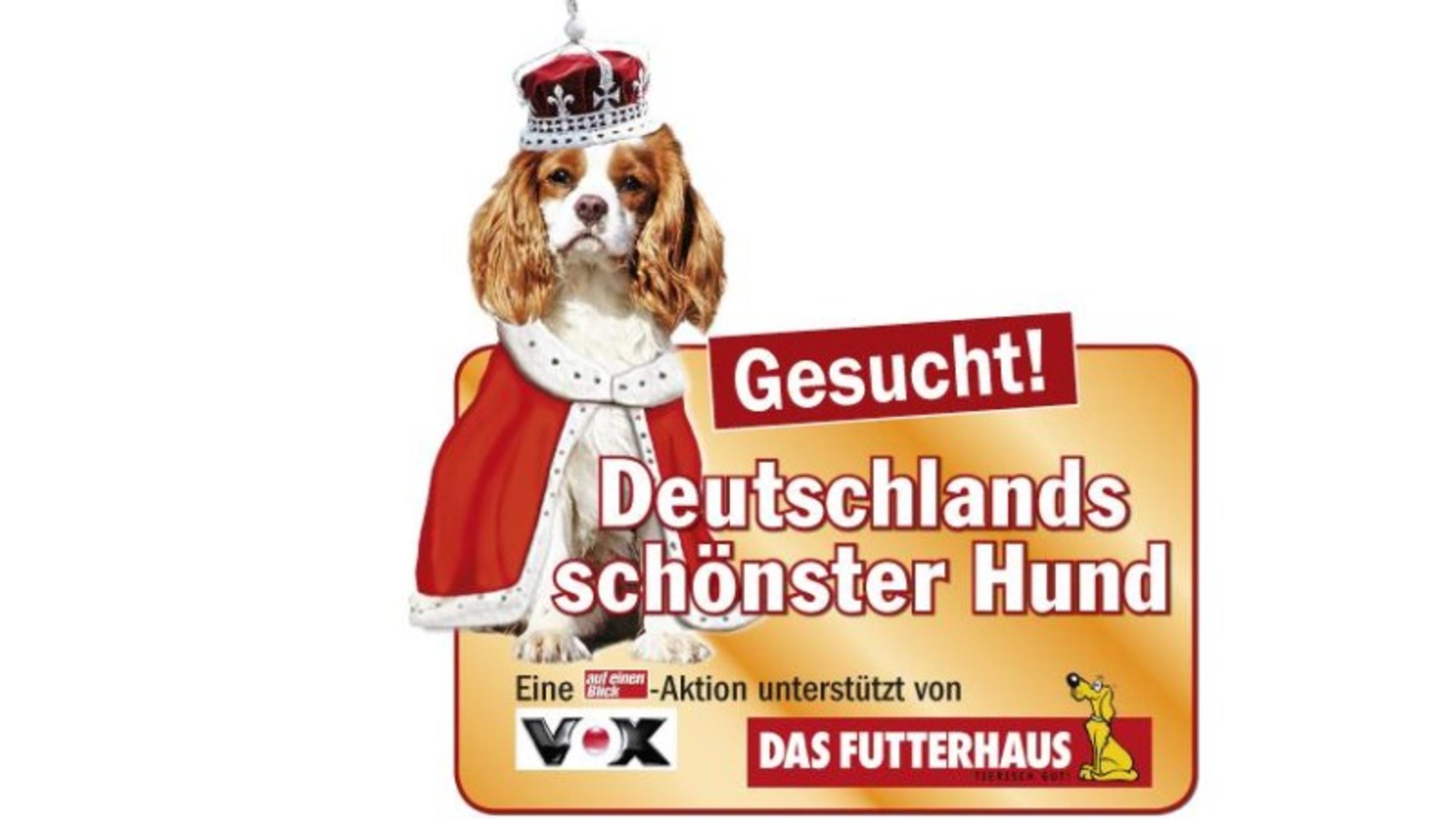Ist Ihr Vierbeiner der schönste Hund Deutschlands?