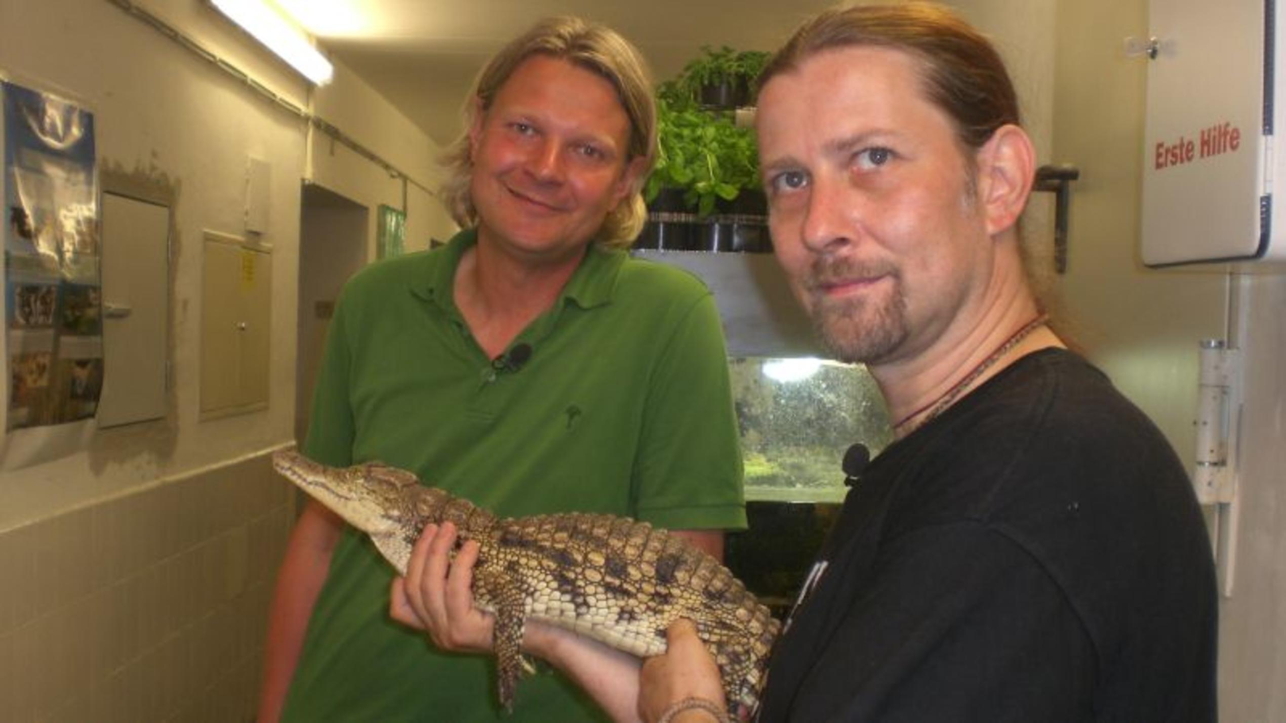 Frank Weber und Dr. Markus Bauer (r.) mit einem Nilkrokodil. Foto: VOX/Docma TV/Dr. Gerald Krakauer