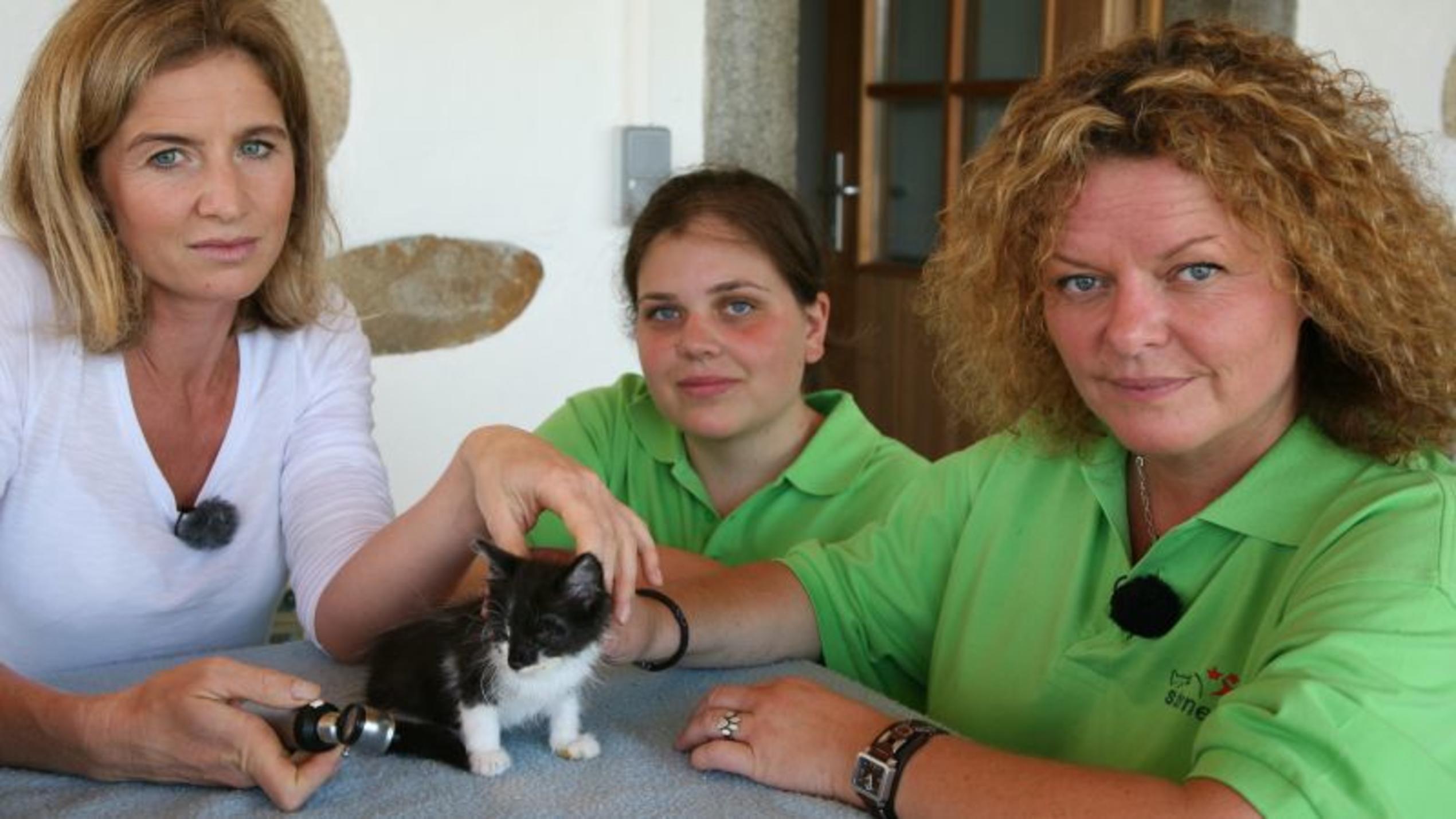 v.l. Dr. Susanne Stiegler, Mandy und Christina Schmidt mit Katzenbaby. Foto: VOX/Docma TV/Dr. Gerald Krakauer