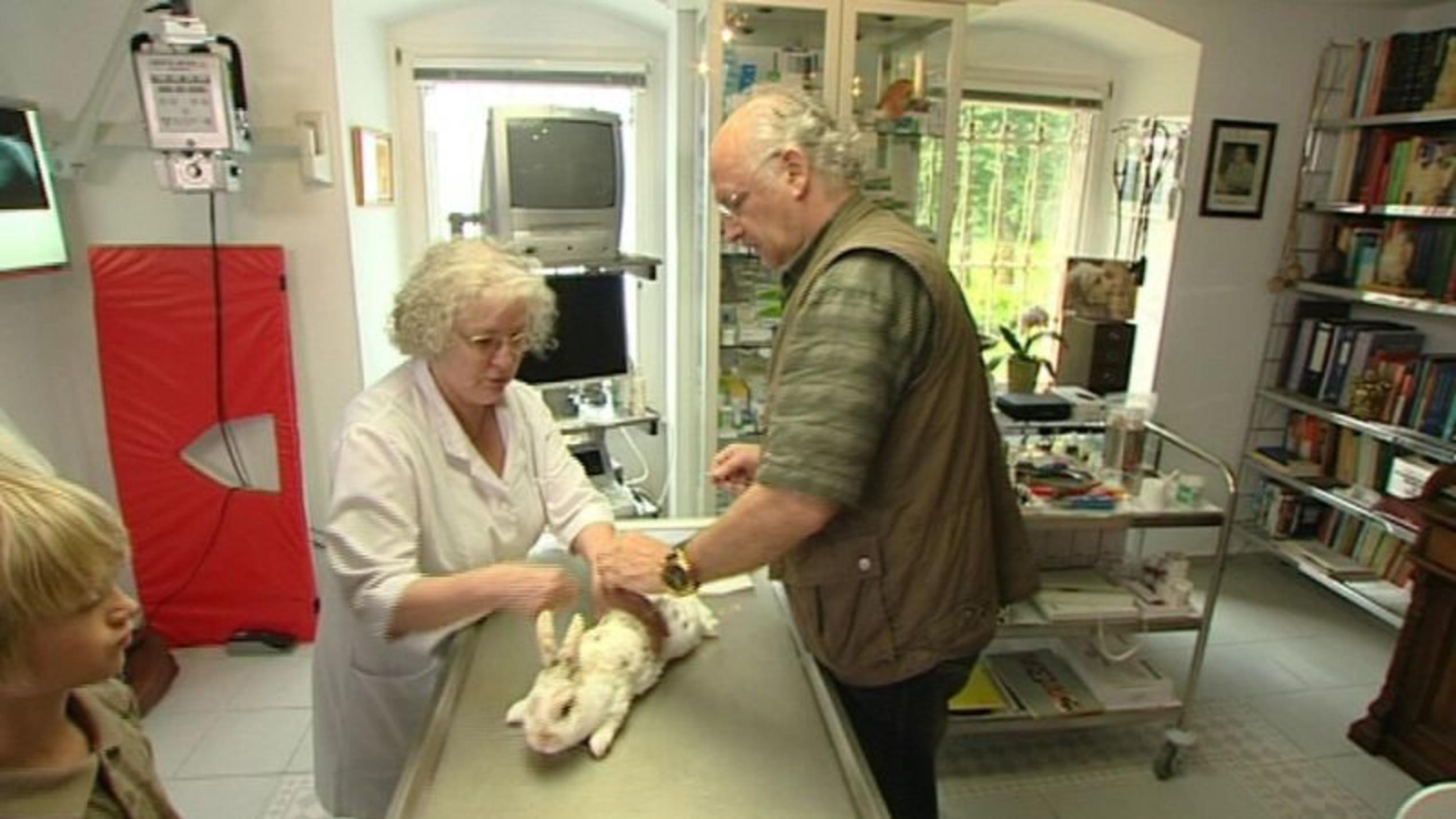 hundkatzemaus-Tierarzt Dr. Wolf operiert ein Kaninchen mit Zahnproblemen. Foto: VOX/VP