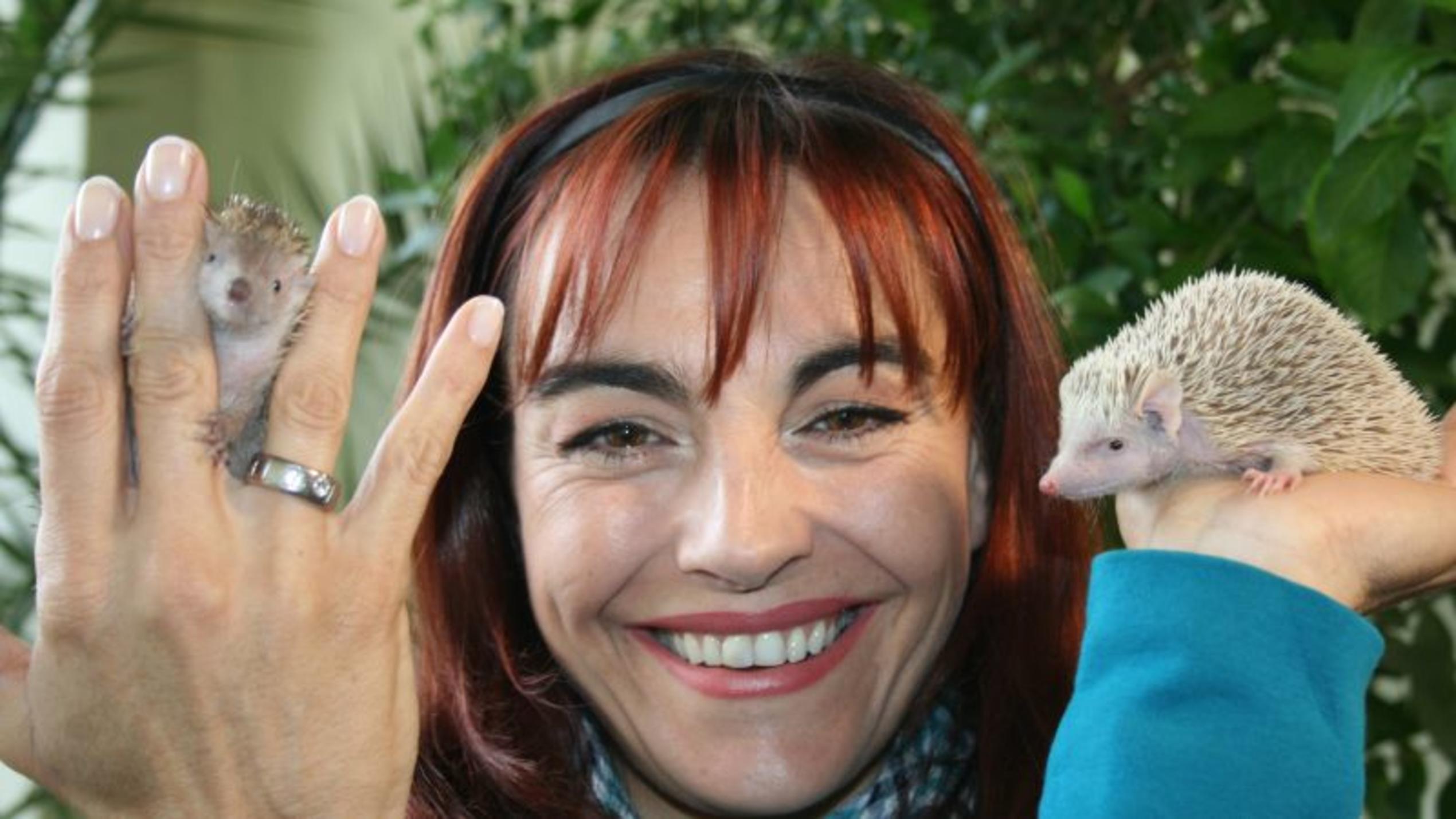 hundkatzemaus-Reporterin Diana Eichhorn mit zwei kleinen Igeltanreks. Foto: VOX/DOCMA TV