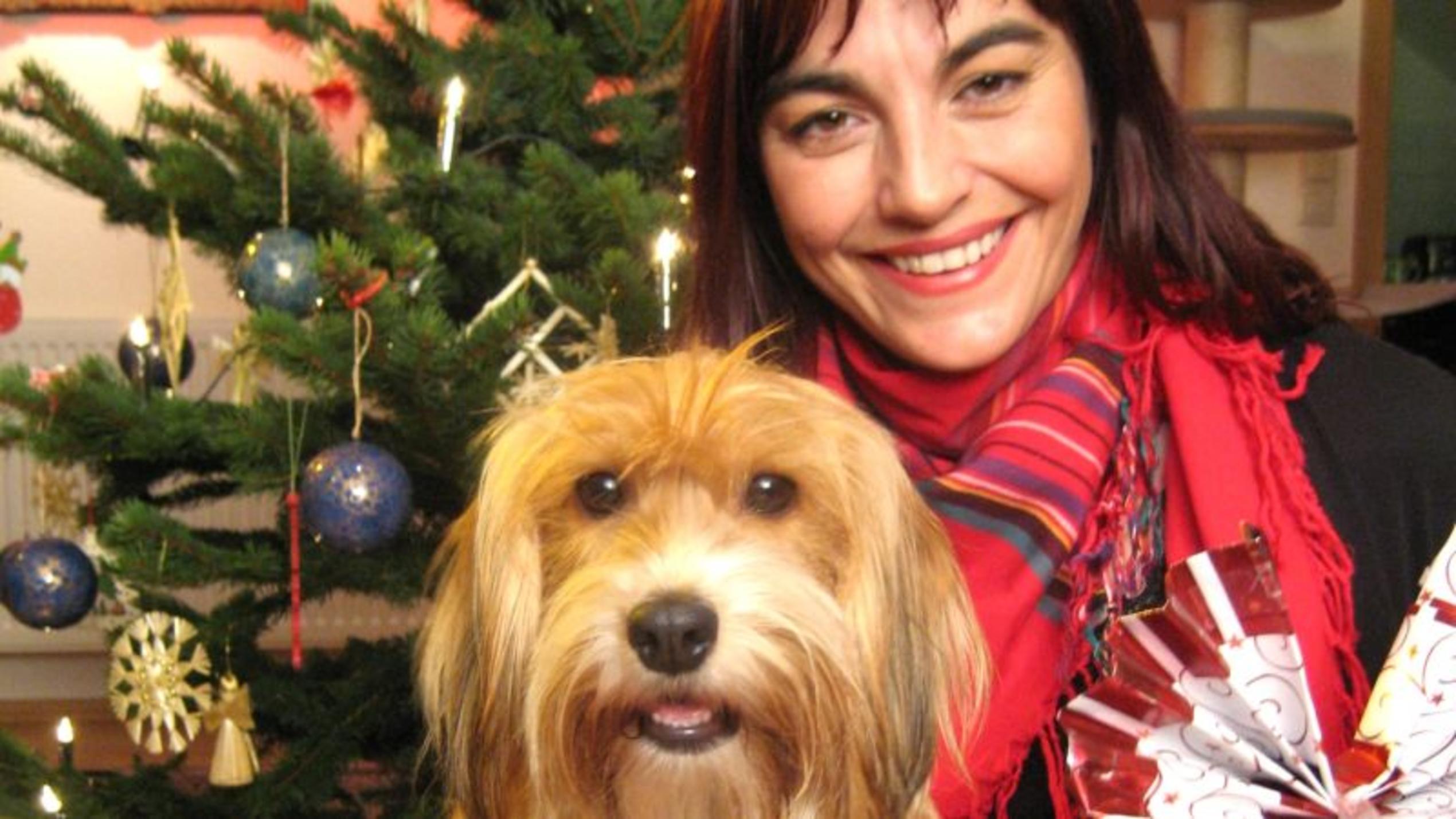 hundkatzemaus-Reporterin Diana Eichhorn und ihre Hündin Klein Maggie unterm Weihnachtsbaum. Foto: VOX