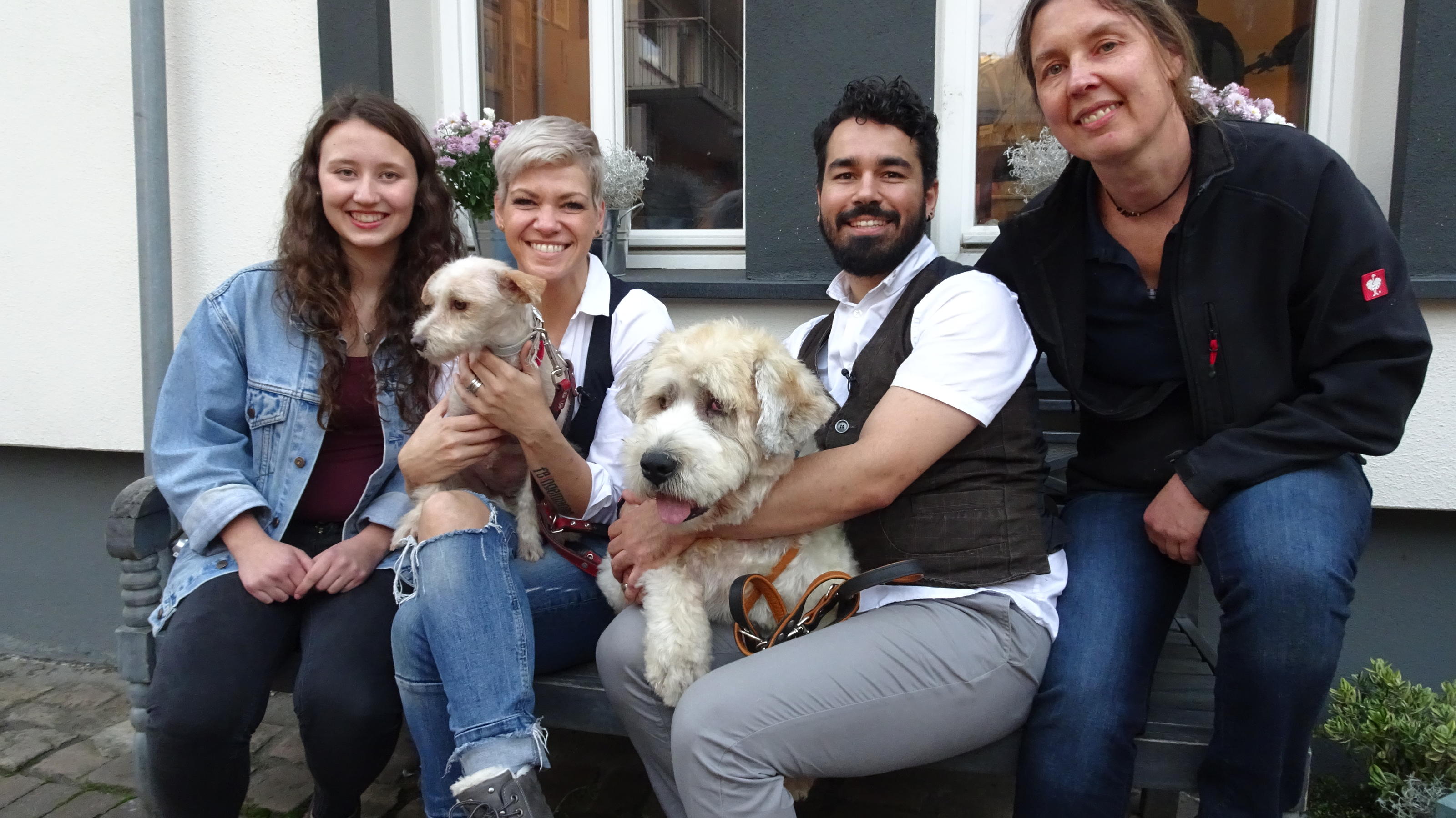 Lavet af voldgrav Gade hundkatzemaus: Die Hundefriseure peppen Tierheimhunde auf