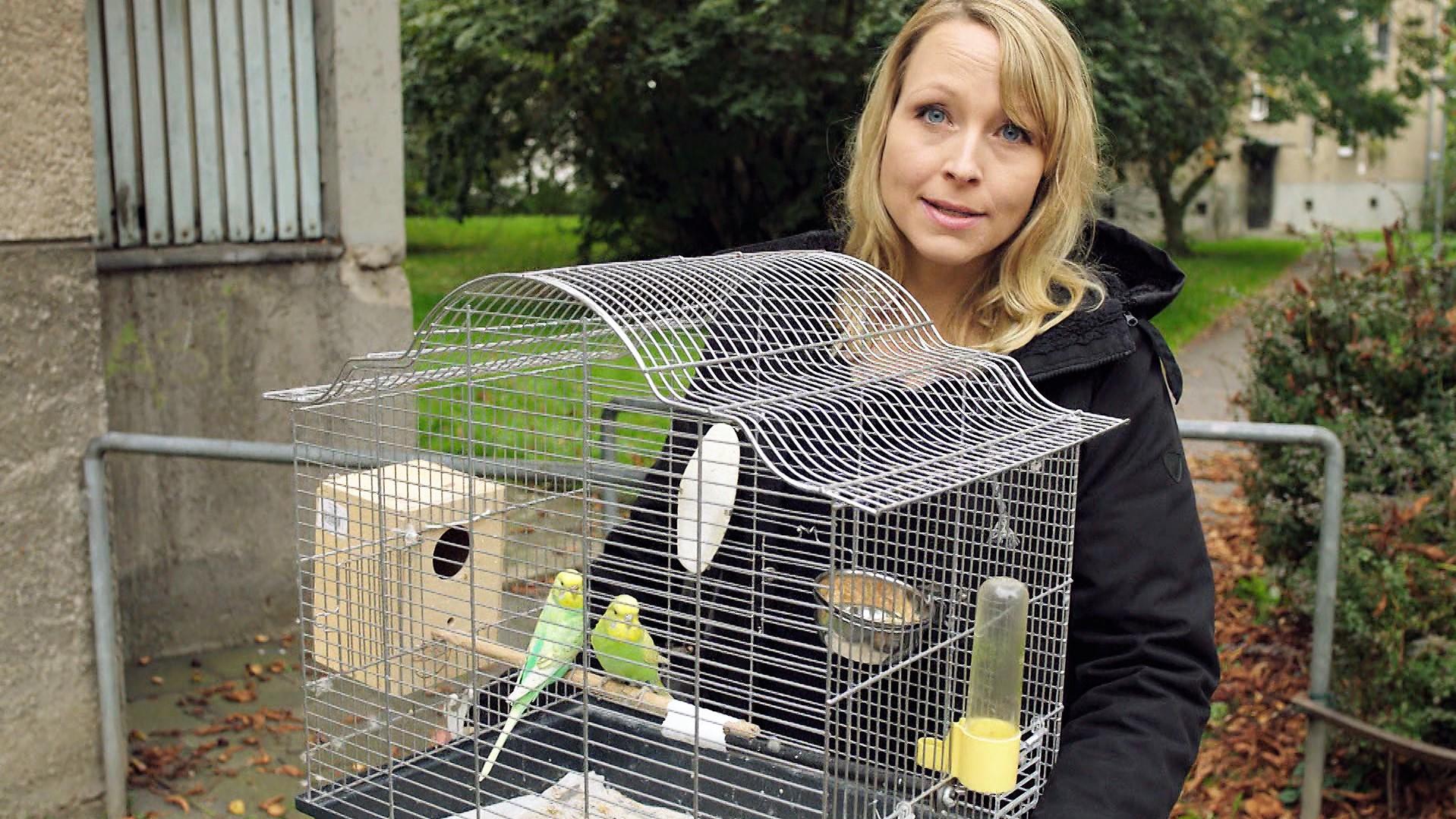 Hundkatzemaus Judith Pein Auf Den Spuren Eines Tierquälers 