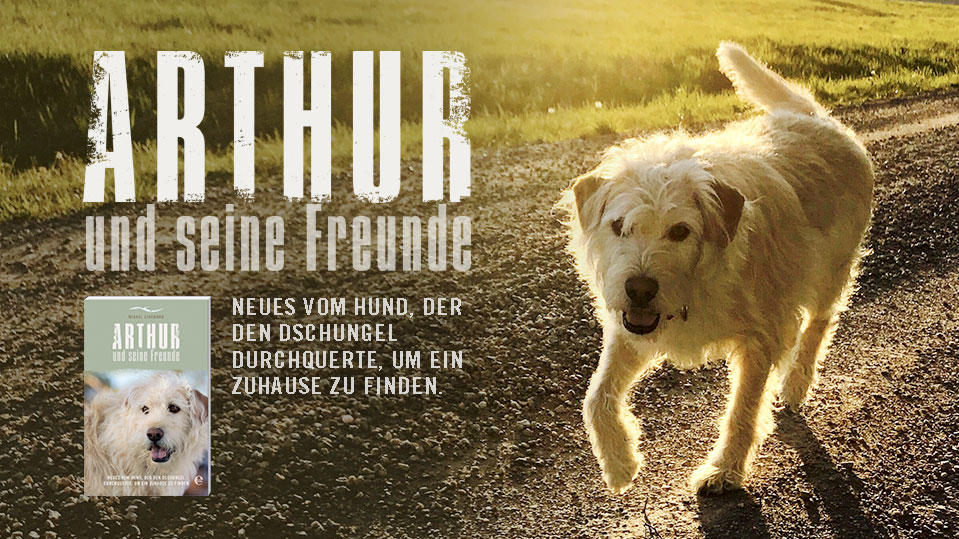 Das neue Buch von Arthur, dem Hund, der den Dschungel durchquerte , um ein ...