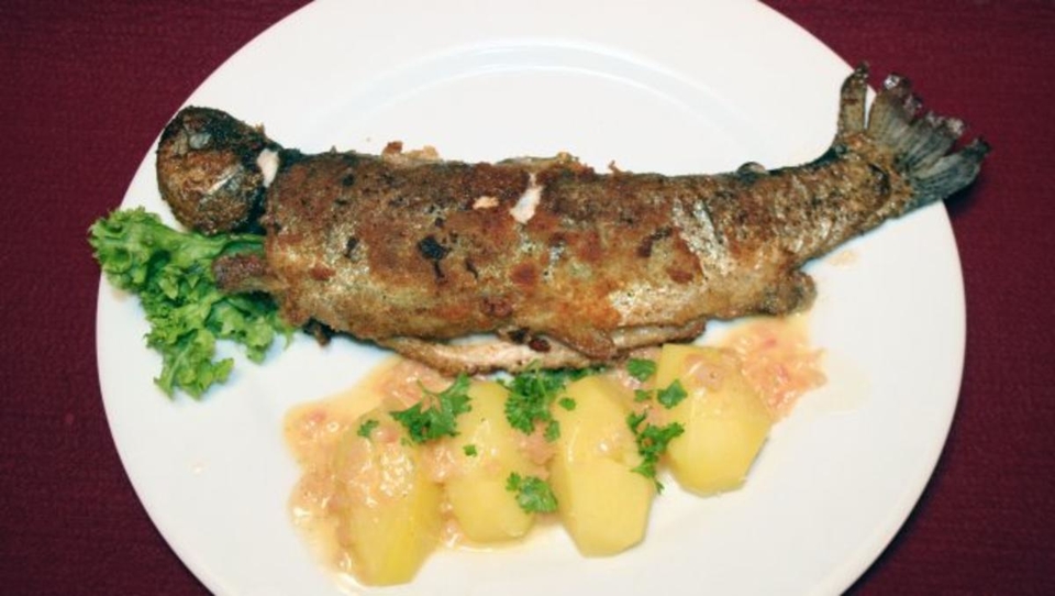 Gebratene Forelle mit Salzkartoffeln und grünem Salat