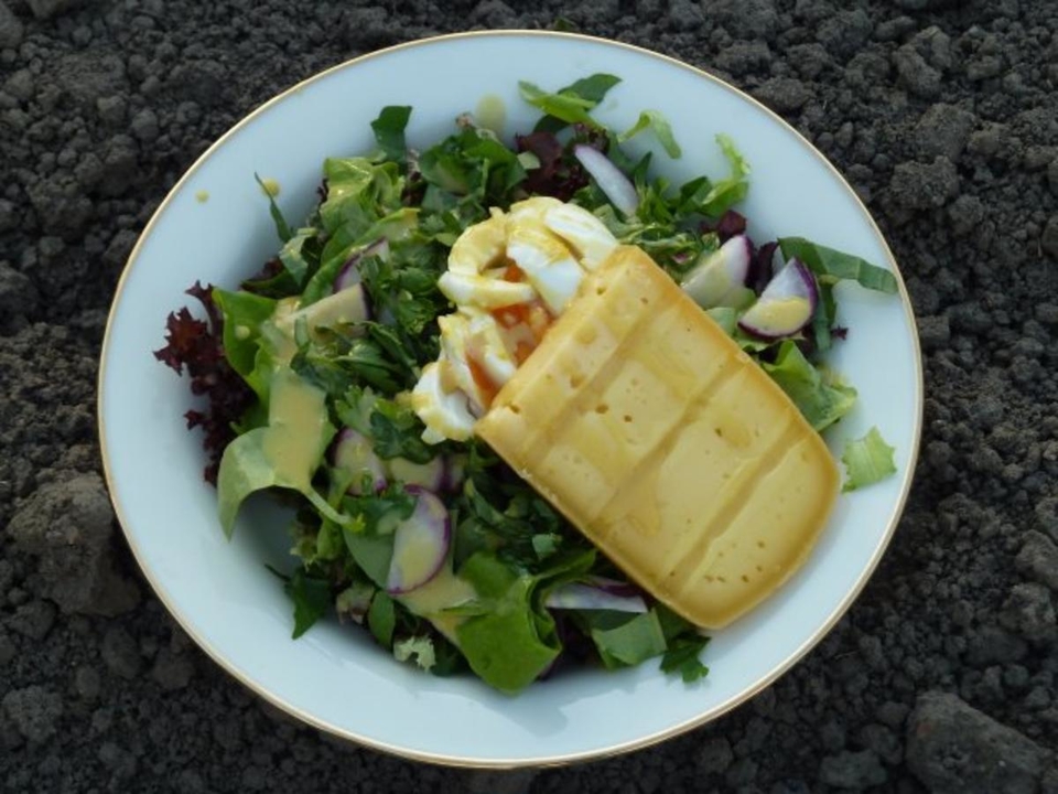 Von meinen Gästen selbst gepflückter Salat