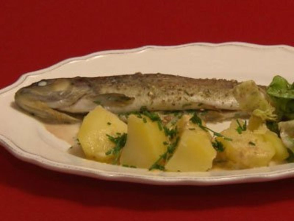 Rahmforelle vom Erler Wirt mit heimischem Kräutersalat und Salzkartoffeln