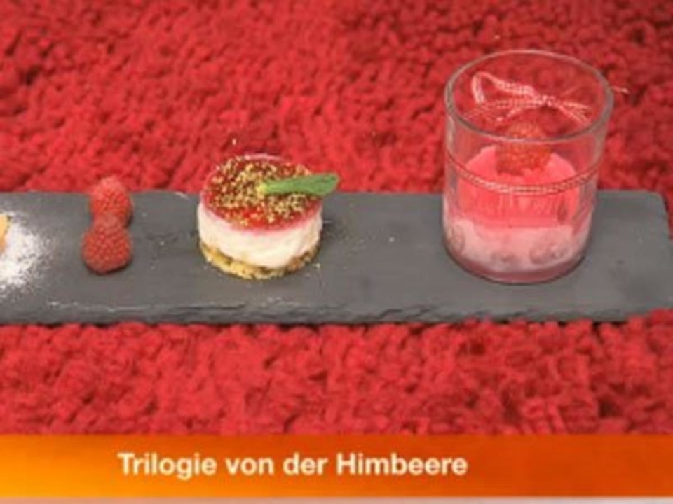Himbeerquark-Törtchen, Himbeersorbet, Windbeutel gefüllt mit Himbeersahne