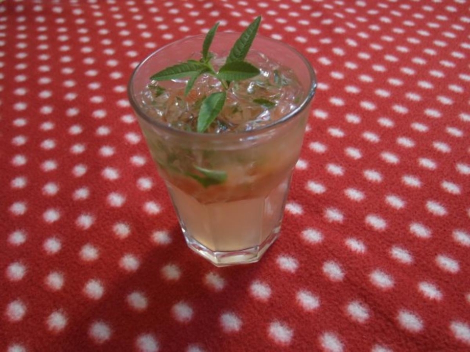 Grapefruit-Verbenen-Holunderinia