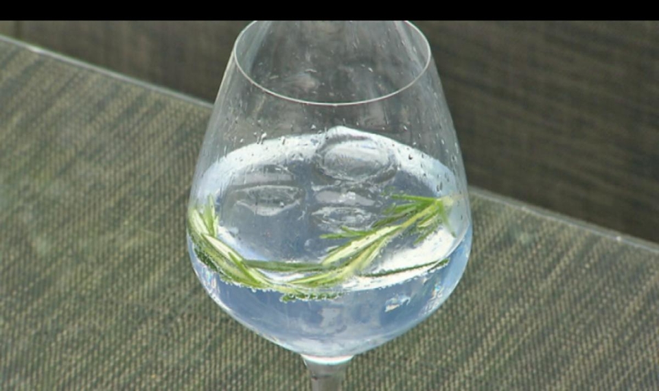 Mediterraner Gin Tonic