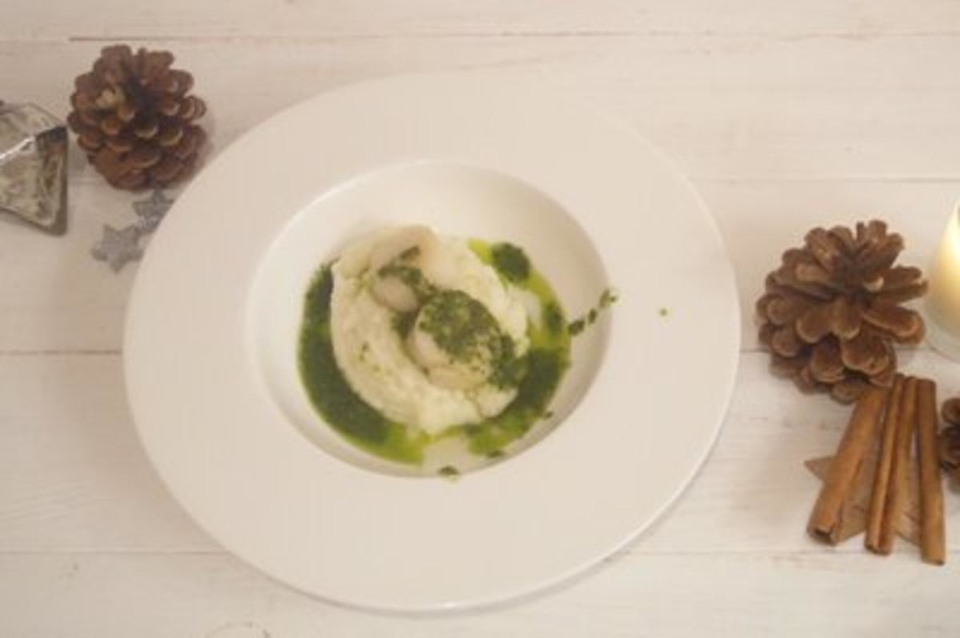 Jakobsmuscheln an Blumenkohlpüree und Rucola-Pesto