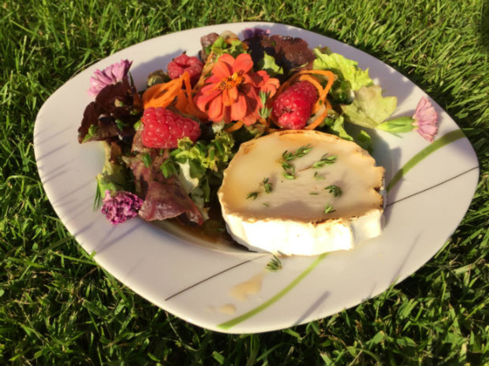 Salat mit warmem Ziegenkäse und Honig