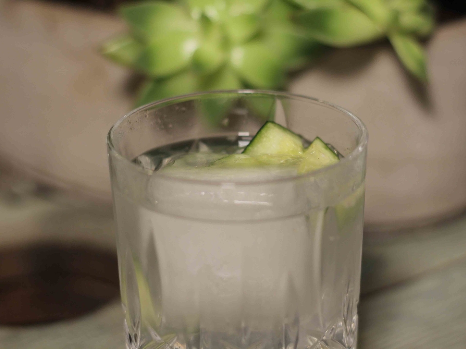 Gin Tonic