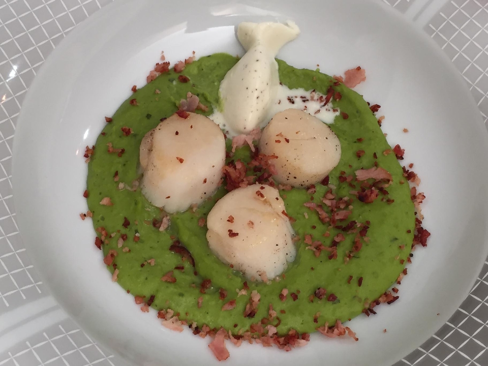 In Speck gebratene Jakobsmuschel mit Zuckerschoten auf geminzter Erbsen-Creme