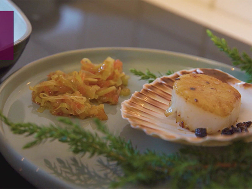 Variation von Scallop