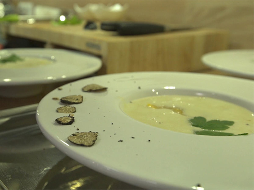 Käse | Kürbis | Trüffel
