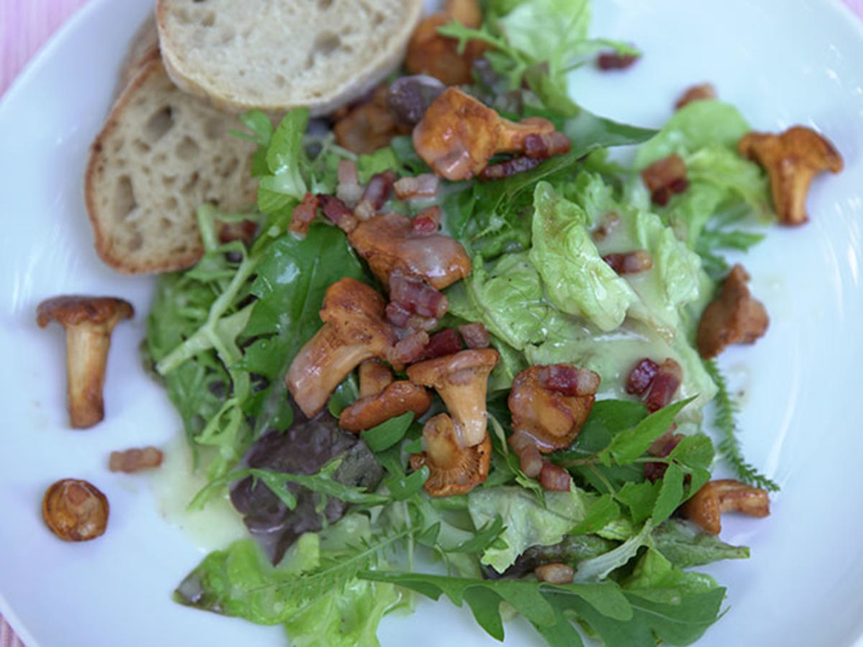 Blattsalate mit (Un-)Kräutern, gebratenen Pfifferlingen und Speckwürfeln