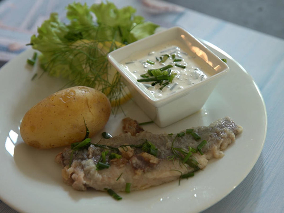 Glückstädter Matjes in Zitronenbutter mit Pellkartoffeln und Schnittlauchschmand