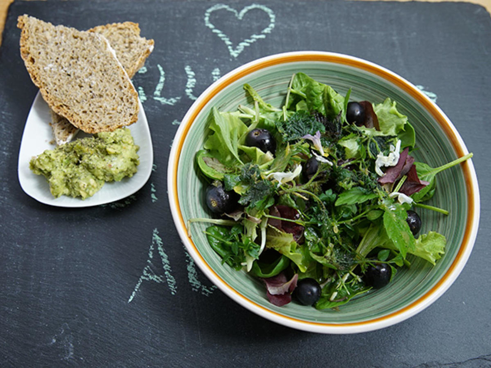 Wilder Salat mit frischem Dinkelbrot und Guacamole