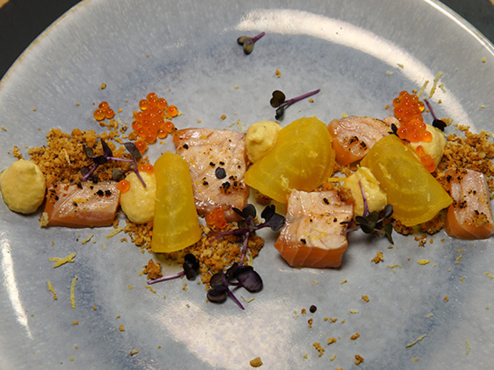 Geflämmter Lachs mit Gelber-Bete-Creme und Parmesan-Crunch