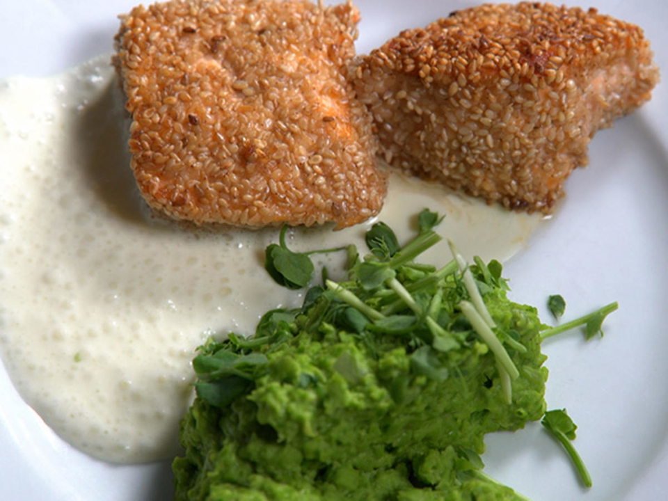 Karo vom Lachs im Sesammantel an Erbsenpüree mit Erbsensprossen und Meerrettich-Schaum